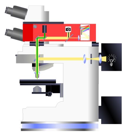 Raman Microspectrometer