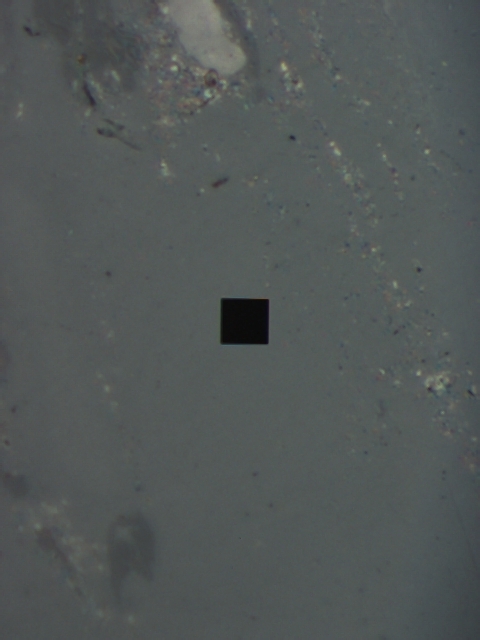 Vitrinite coal