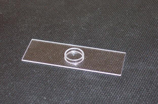 CRAIC Technologies quartz slides & wellslides