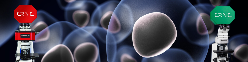 Characterizing Biological Nanostructures on Curved Surfaces with Precision