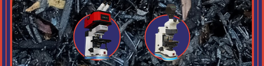 Vitrinite Reflectance and Raman Microspectroscopy of Biochar