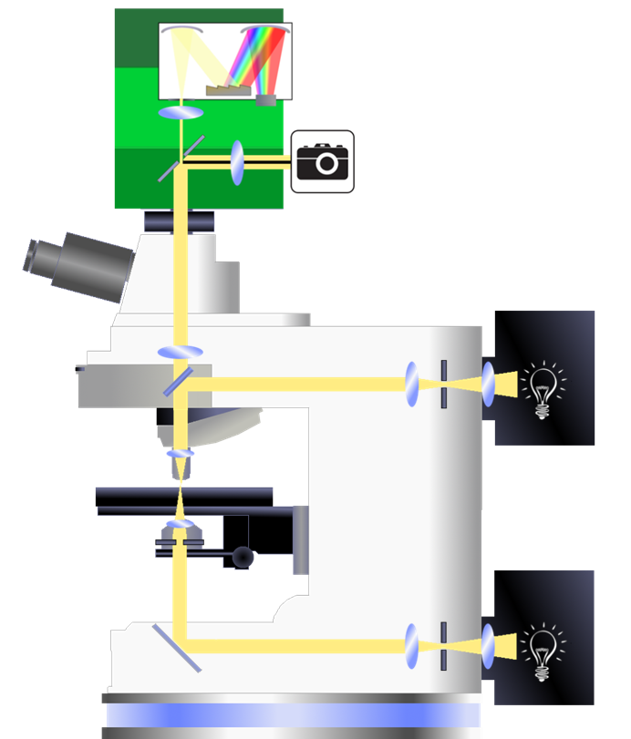 Microscope Spectrophotometer