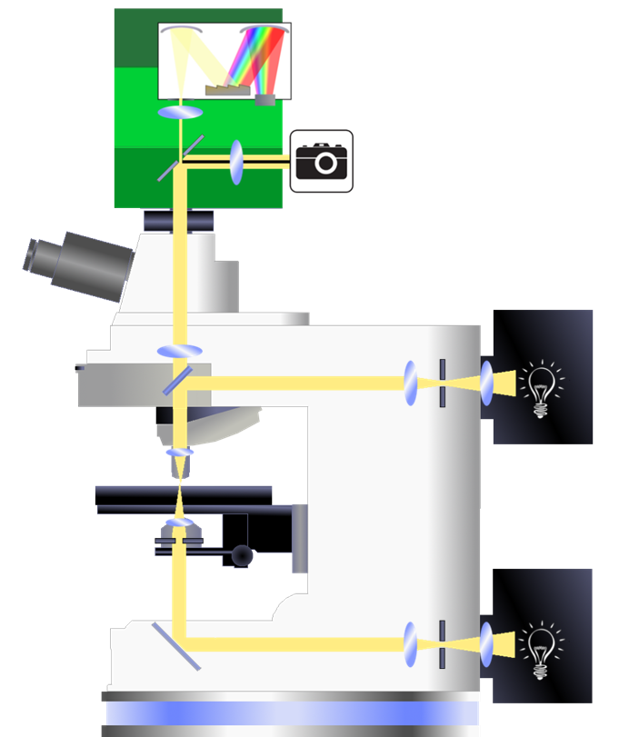 Microspectrophotometer