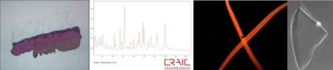 Microspectrophotometer images and spectra