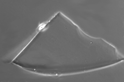 Glass fragment viewed with rIQ™