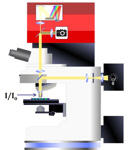 Optical Petrography