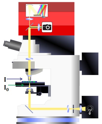 Microspectrophotometer