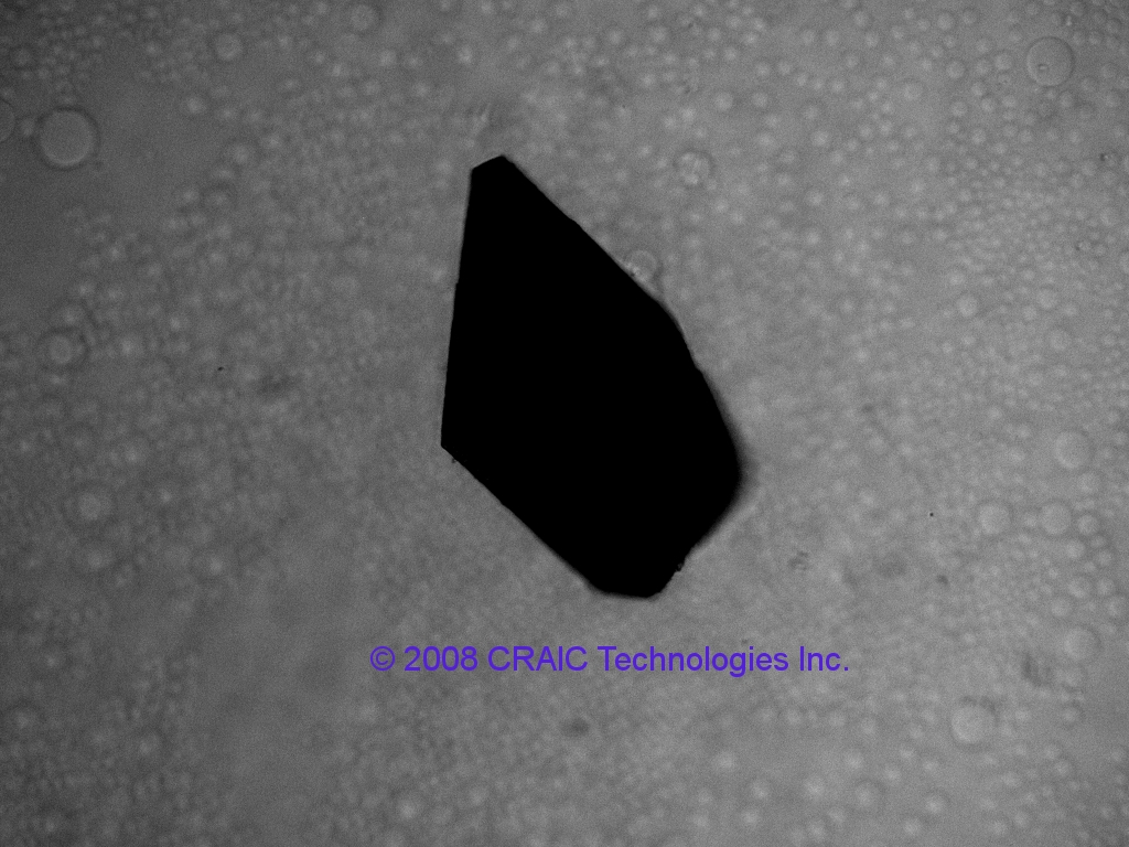 UV absorbance of protein crystal