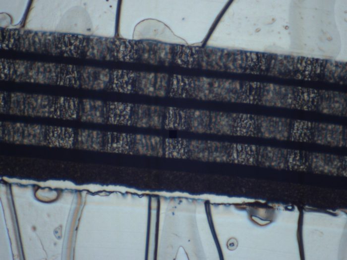 Cross-section through an automotive paint chip, showing its layers