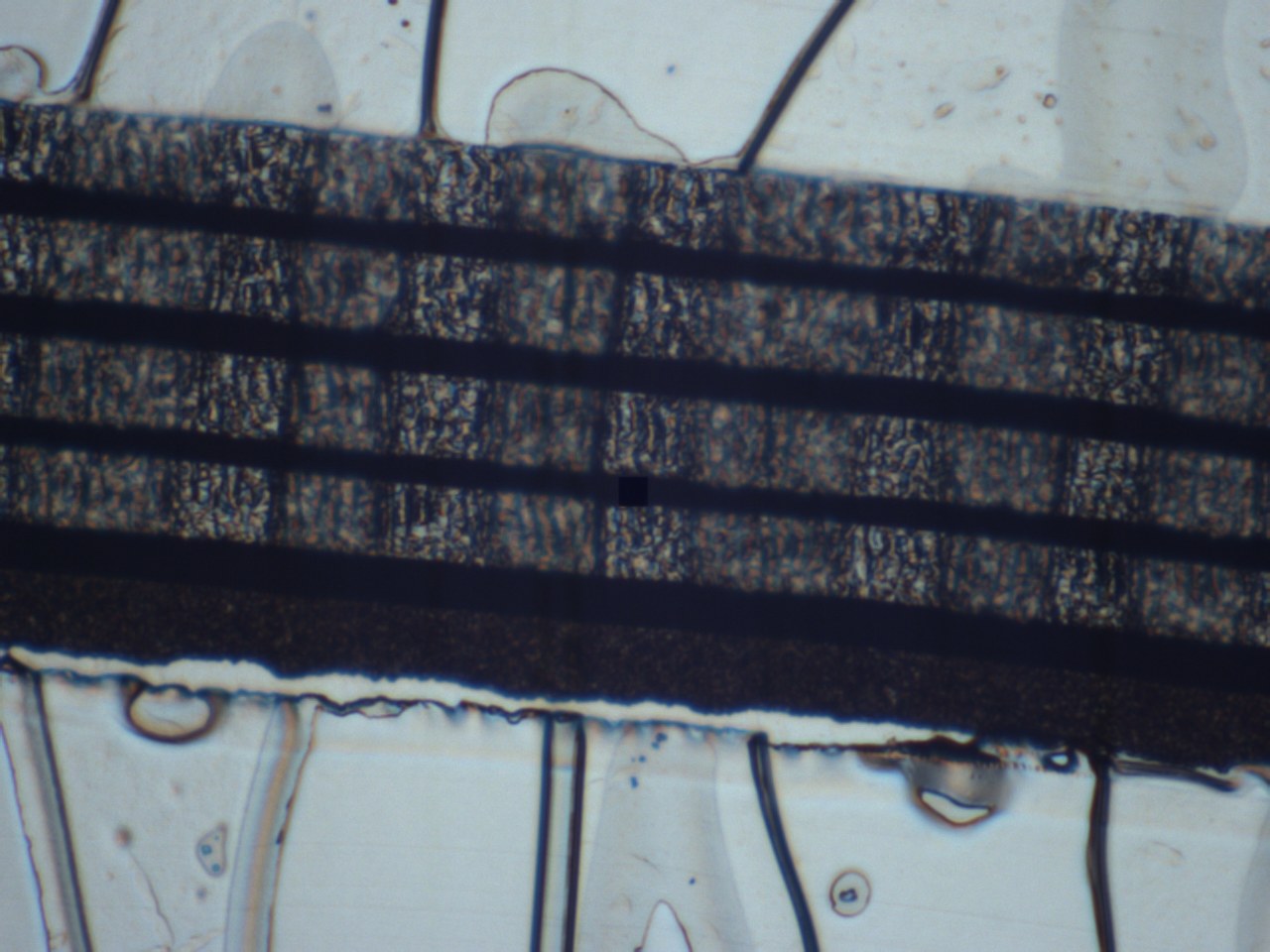 Cross-section through an automotive paint chip, showing its layers
