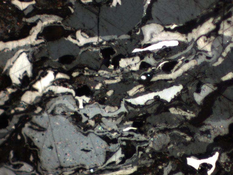 Vitrinite macerals in a polished coal section, reflected light