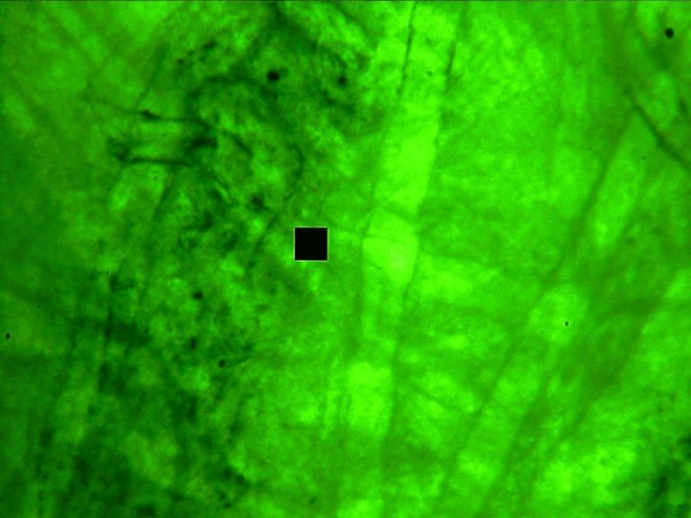 Fluorescence from banknote paper, with the measuring aperture on the sampled area