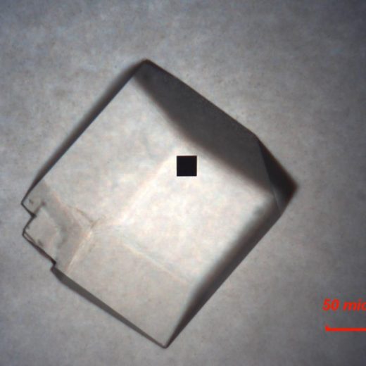 A lysozyme crystal imaged in visible light