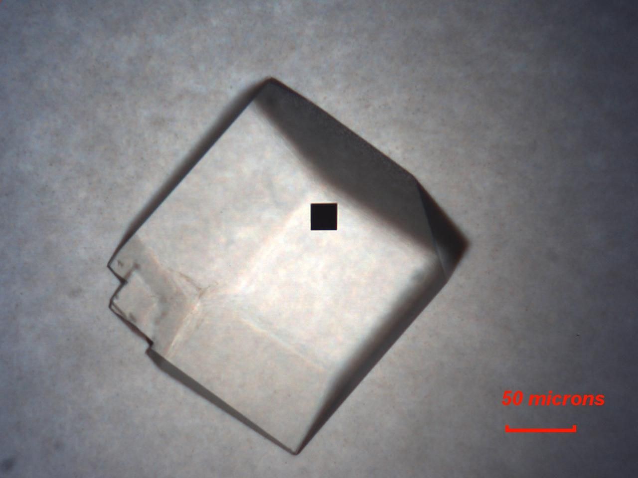 A lysozyme crystal imaged in visible light